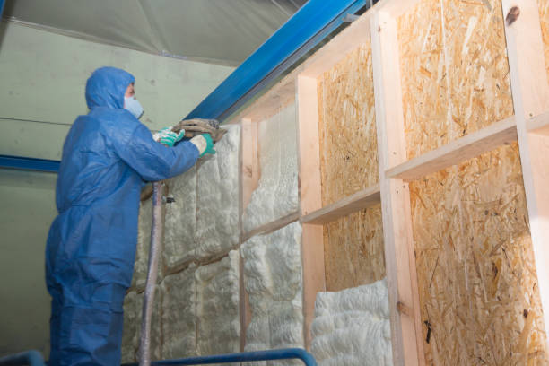 Best Professional Insulation Contractor  in Whispering Pines, NC